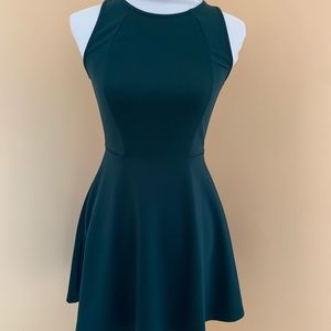 Green Forever 21 Fit & Flare Skater Dress